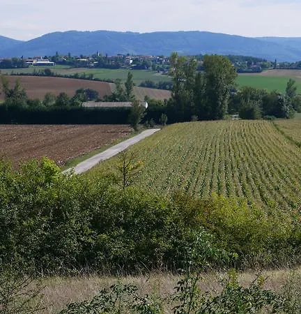 La Maison D'en Face Hébergement de vacances Saint-Affrique-les-Montagnes
